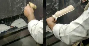 publive-image