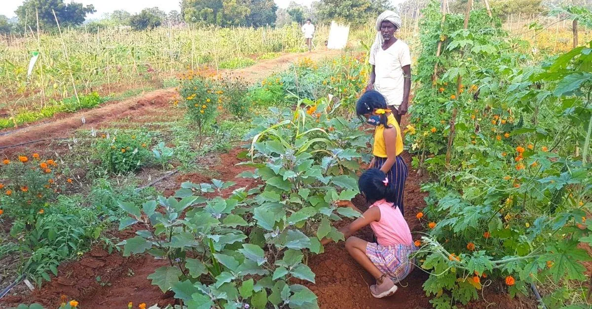Customers can visit the farm and learn all about how to grow vegetables
