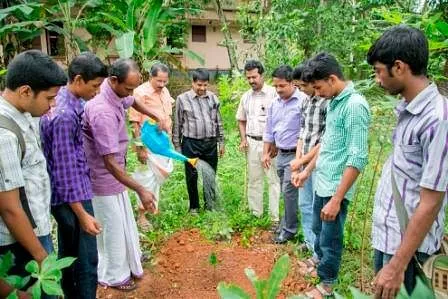 jackfruit kerala kr jayan