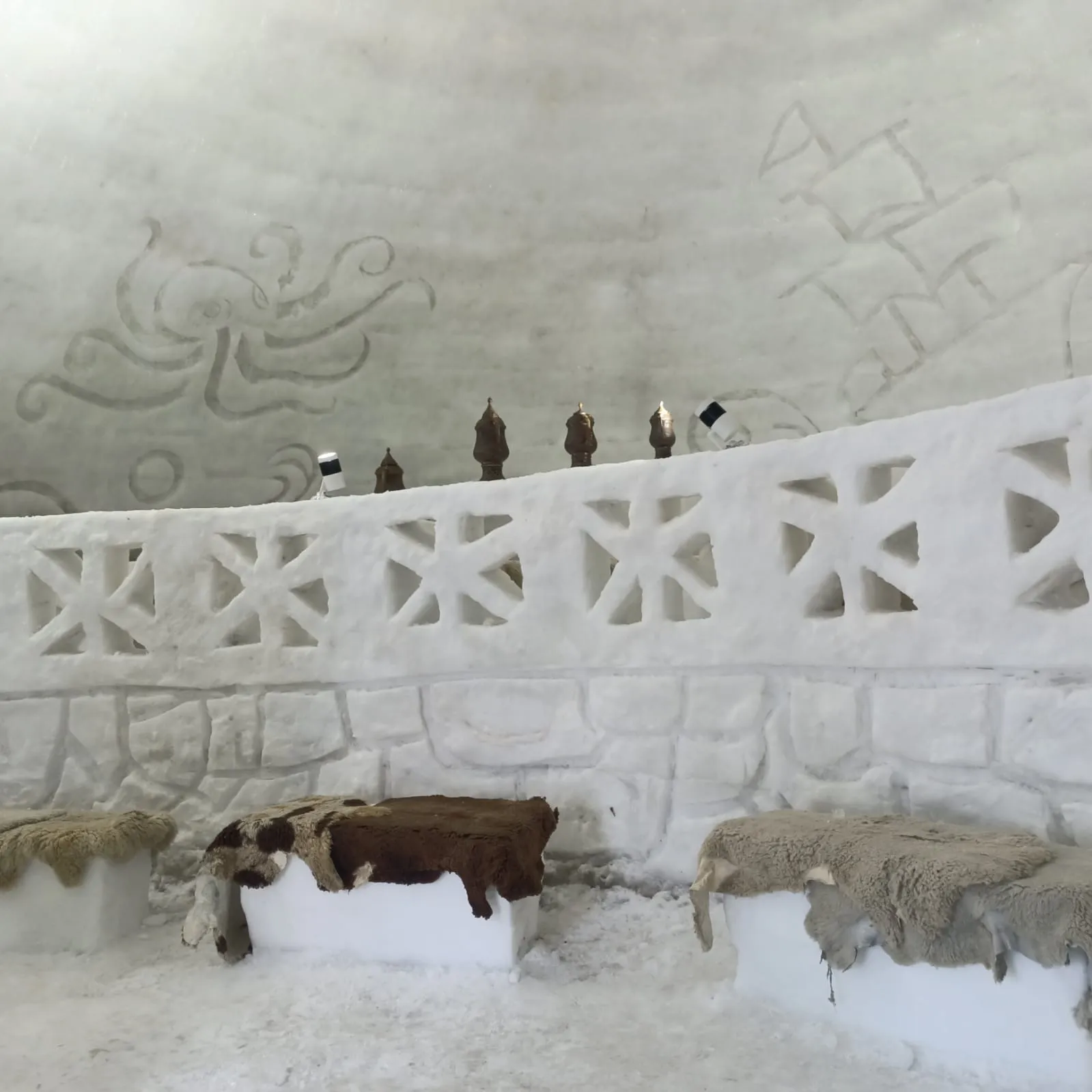 igloo cafe