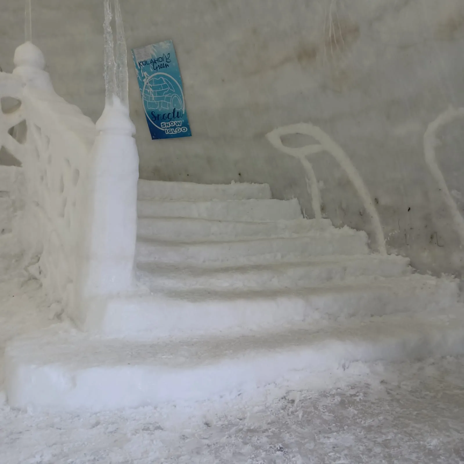 igloo cafe