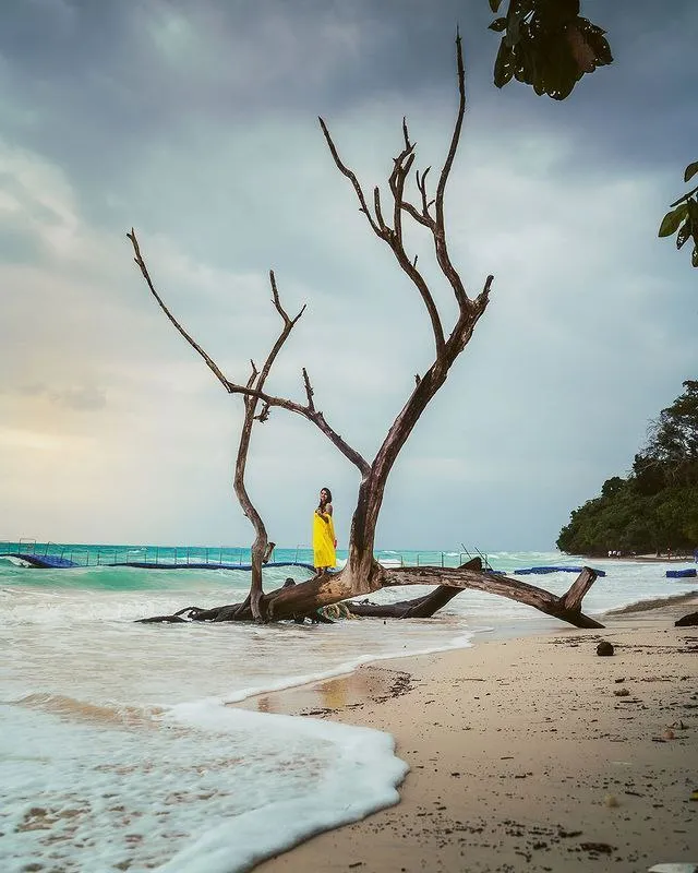 India in Pics: The 10 Best Beaches For The Perfect Summer Vacation