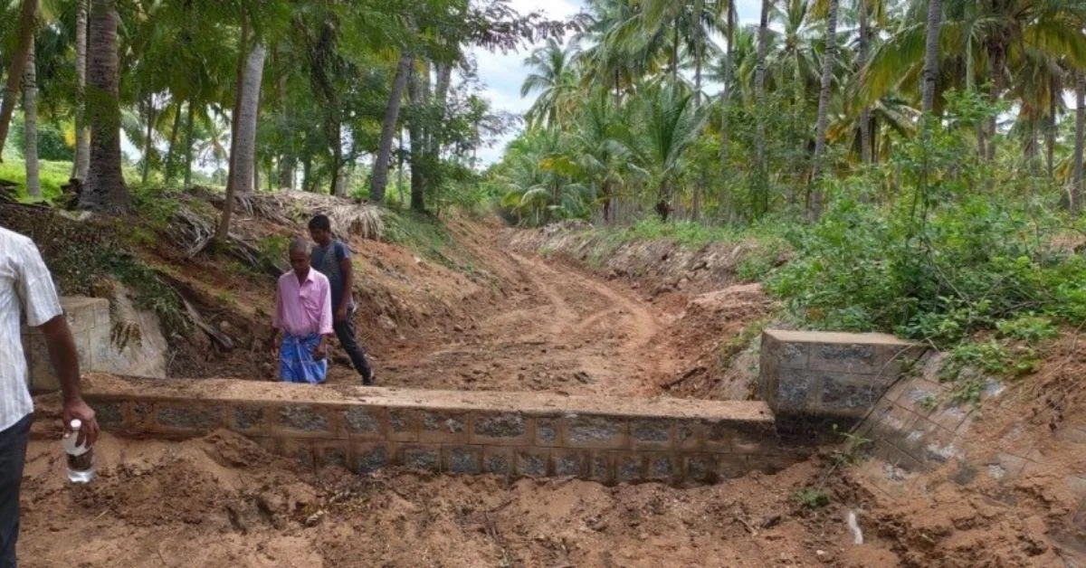 SayTrees NGO percolation pond revival