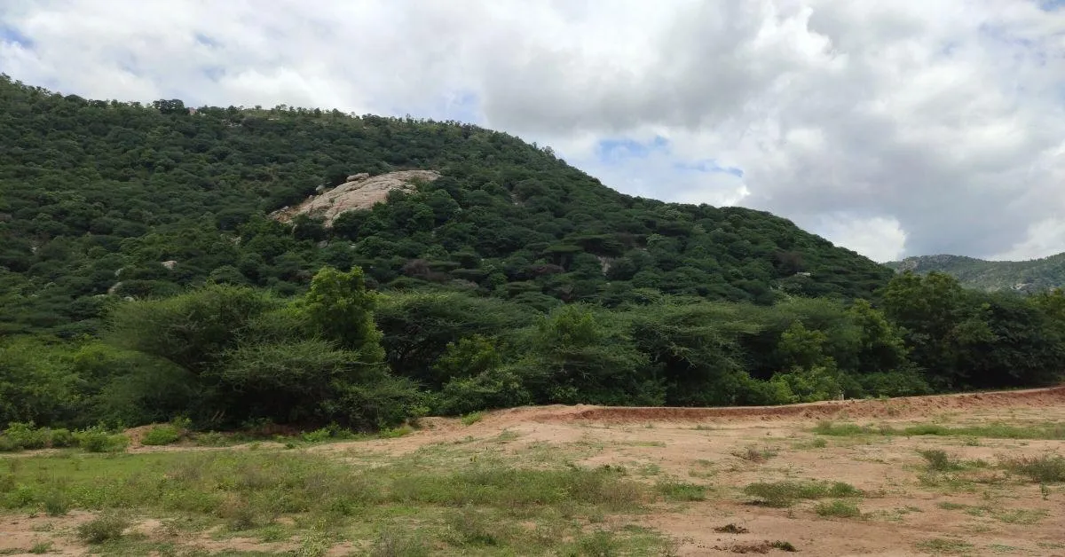 SayTrees NGO percolation pond revival