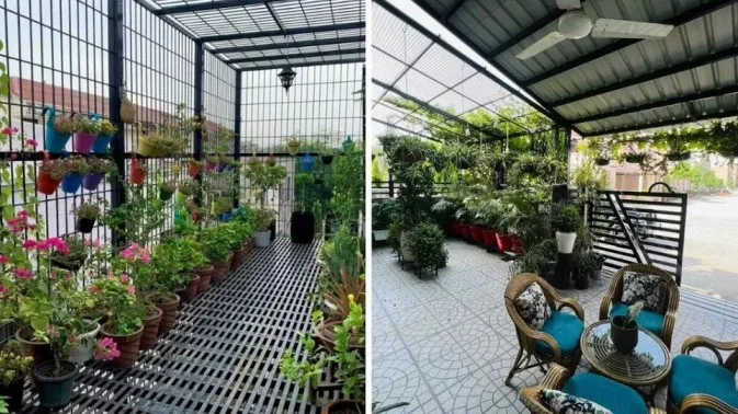 In Noida’s Concrete Jungle, Woman Creates A ‘Mini Hill Station’ With 3000 Plants