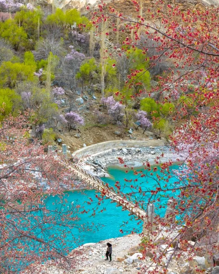 Aryan Valley, Ladakh