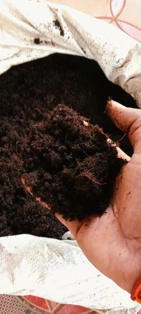 Award-Winning Terrace Farmer Turns Kitchen Waste Into 1000 kg Organic Fertiliser/Month