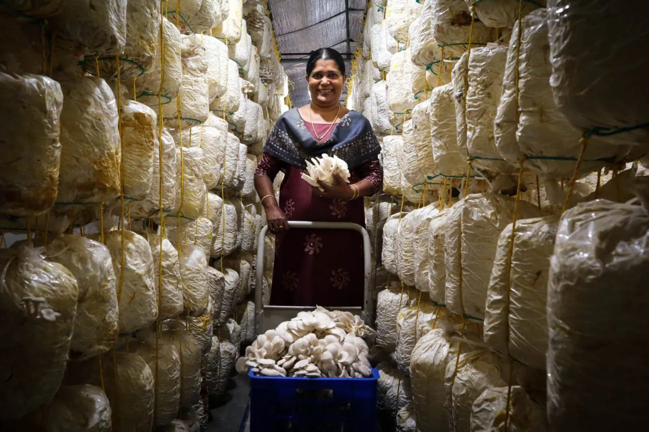 Started From One Packet, Mother-Son Duo’s Mushroom Farming Now Earns Rs 40000/Day