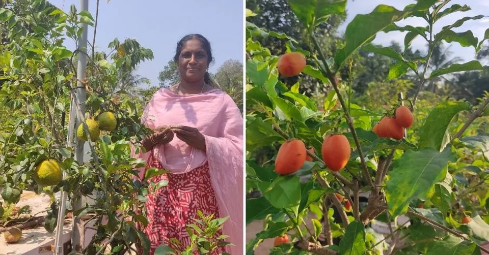 Bindu at her terrace garden