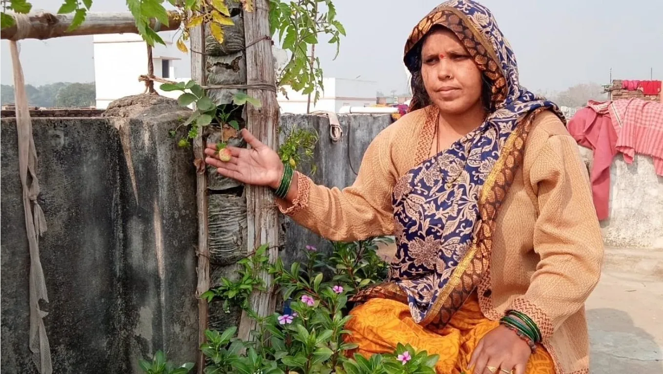 How to Grow Veggies in PVC Pipes? Bihar Woman Grows 5kg Every Week on her Terrace