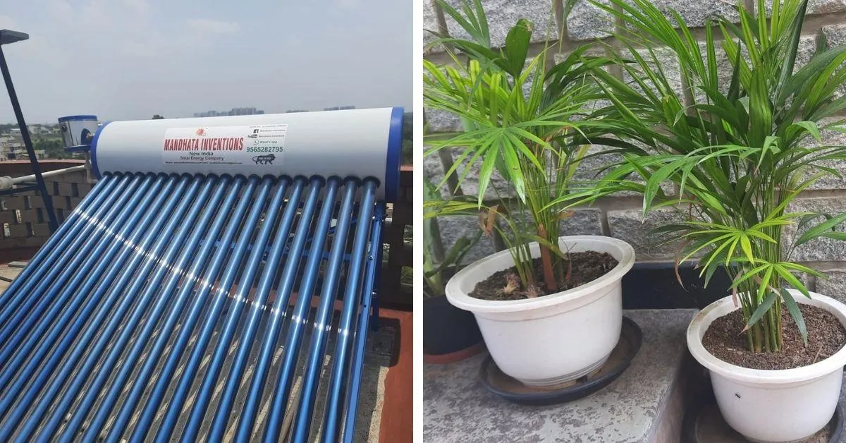Rainwater harvesting and terrace garden
