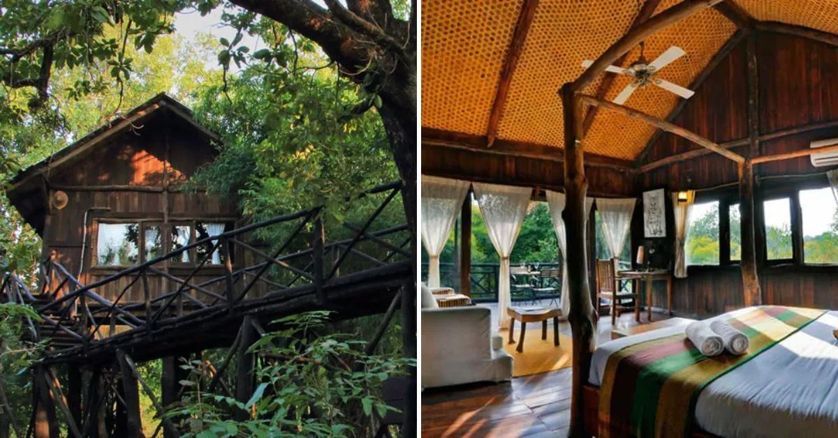 Tree House Hideaway