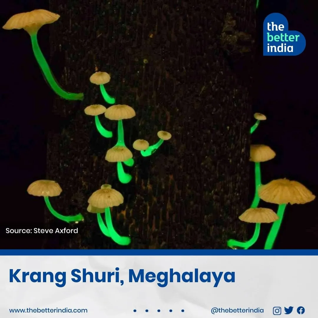 Krang Shuri, Meghalaya