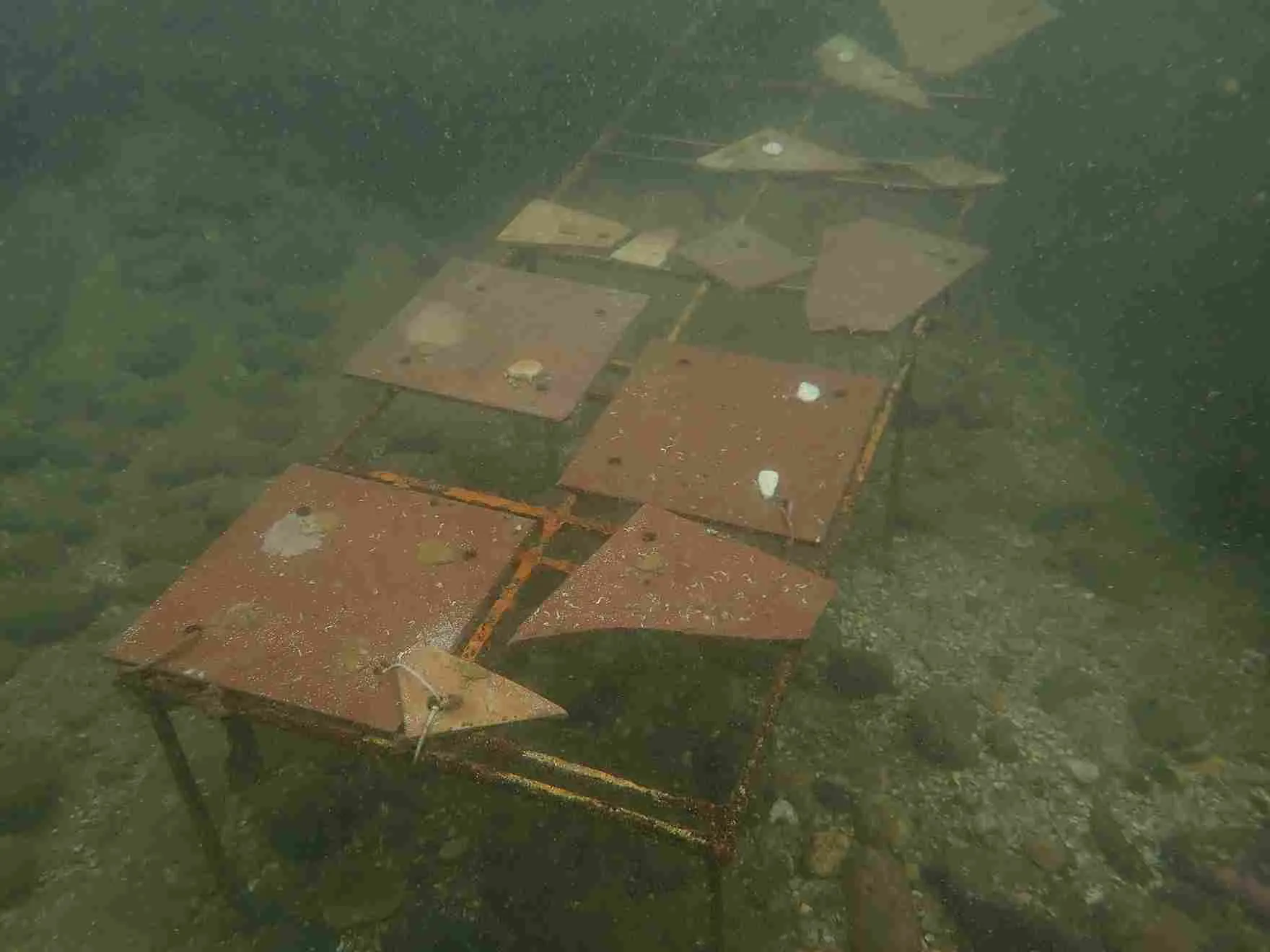 The tables laid out for coral transplantation