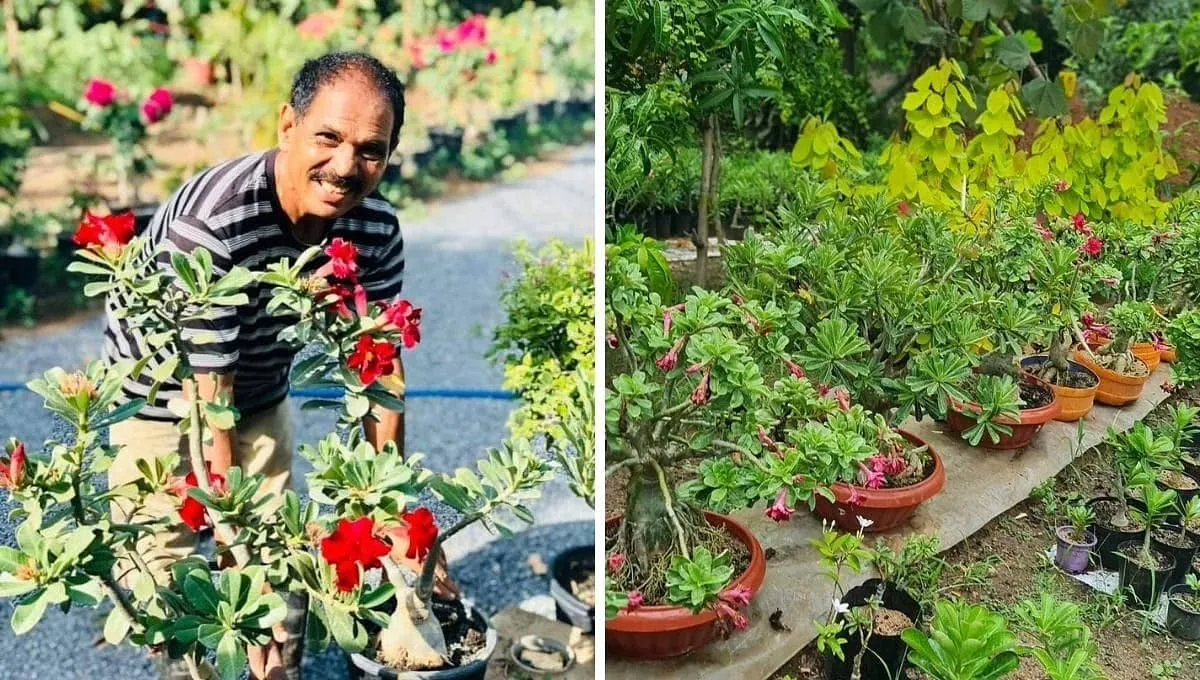 Sureshchandra at his garden