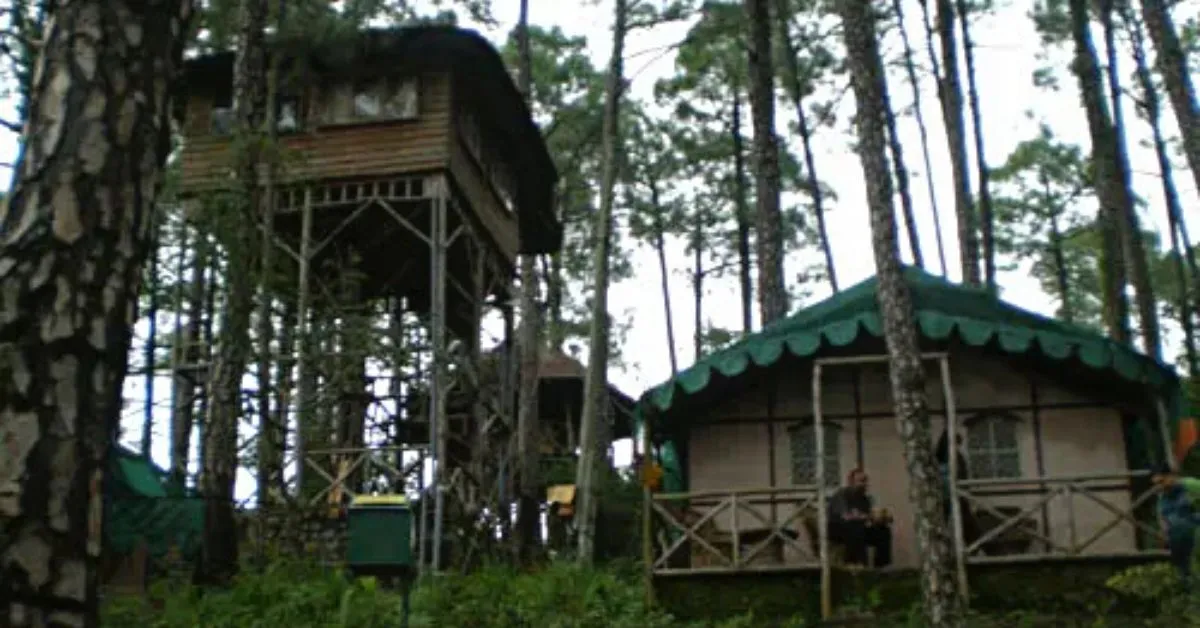 Cottages at Camp Potters Hill in Shimla.