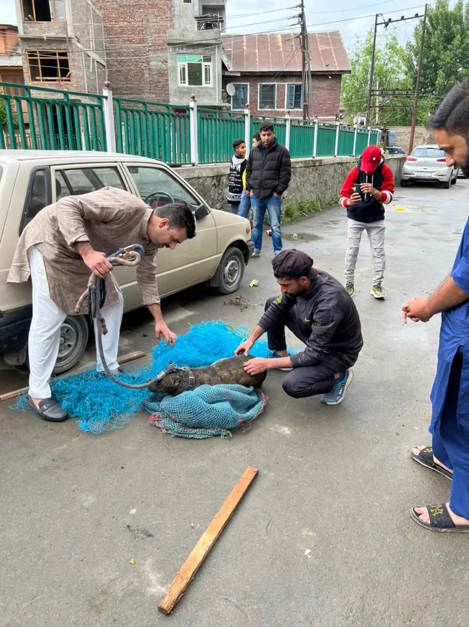 A rescue operation