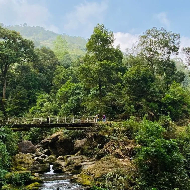A scenic view from the Mongpu village in Darjeeling.