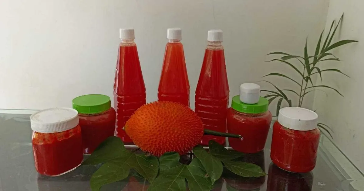 Products made from gac fruit