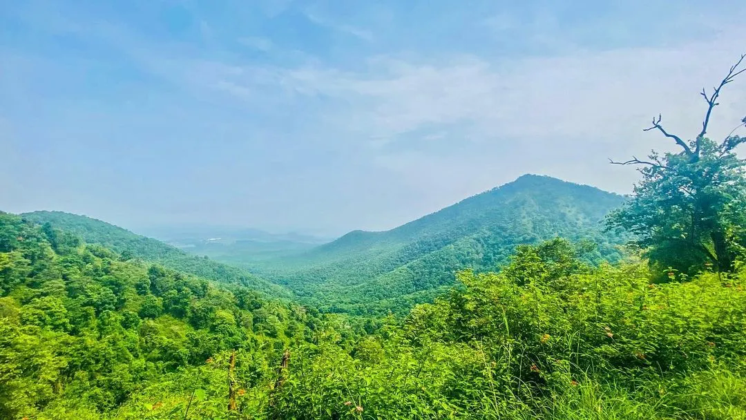 A view of BR hills