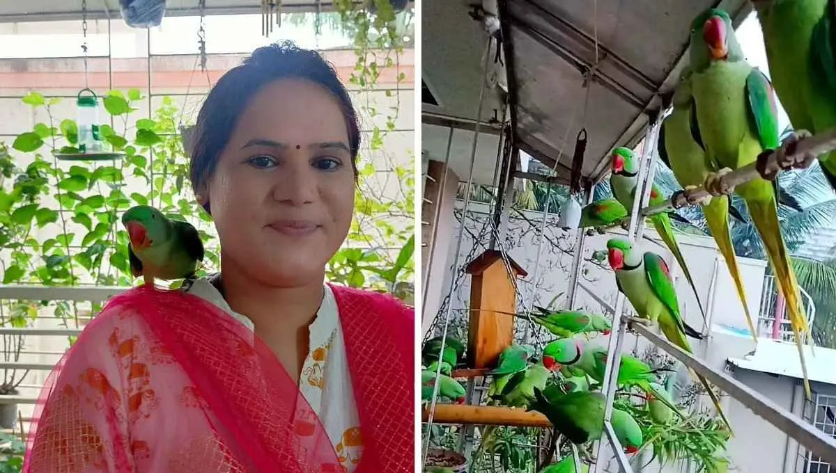 Smita Pasalkar in her balcony where she is visited by sparrows, parrots and sunbirds