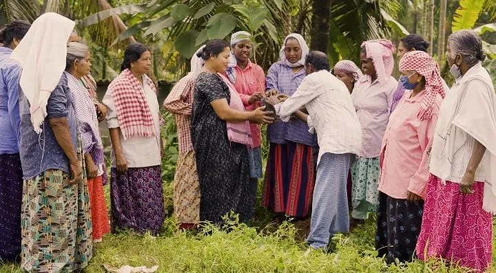 Daily Wager Spends ears Planting Hundreds of Trees in Schools