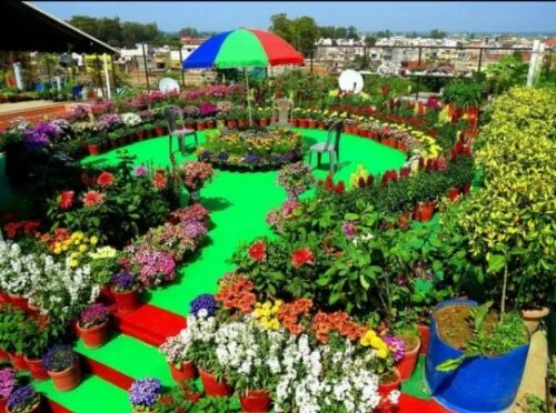 The vast collection of flowers in Ram Vilas' garden.