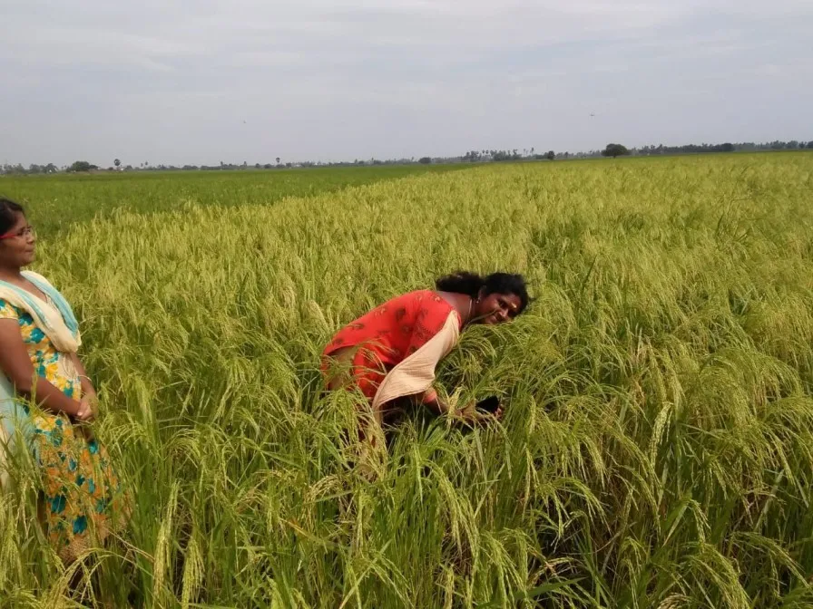 konda usharani natural farming guntur<br />
