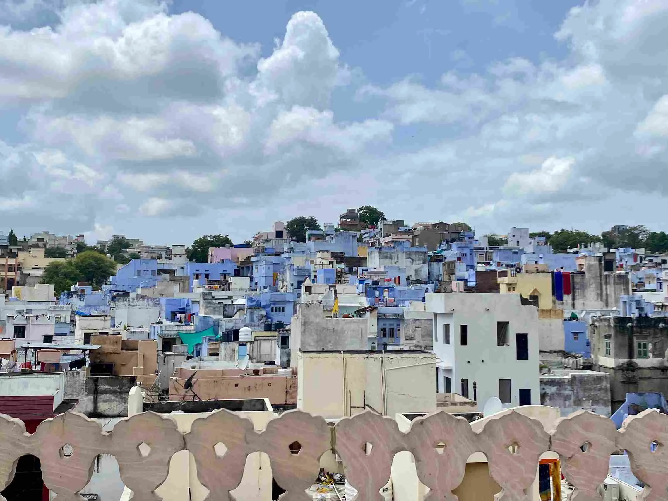 The Nathdwara skyline where the artists' houses can be seen. The entire town is involved in keeping the pichvai art form alive