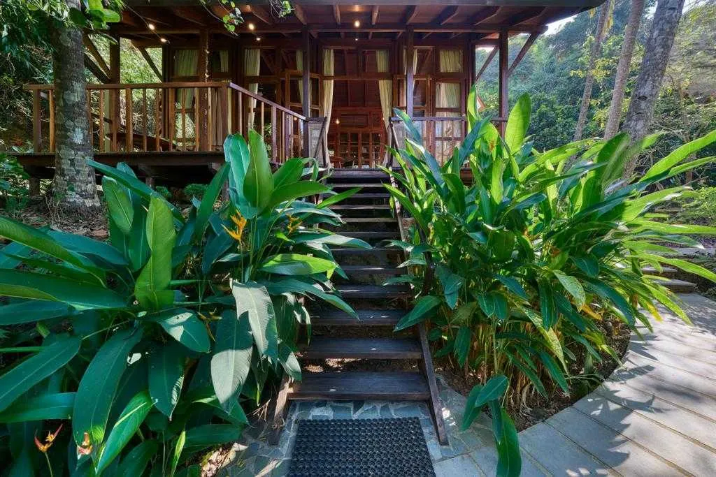 Lush mangroves and foliage camouflage the home from all corners