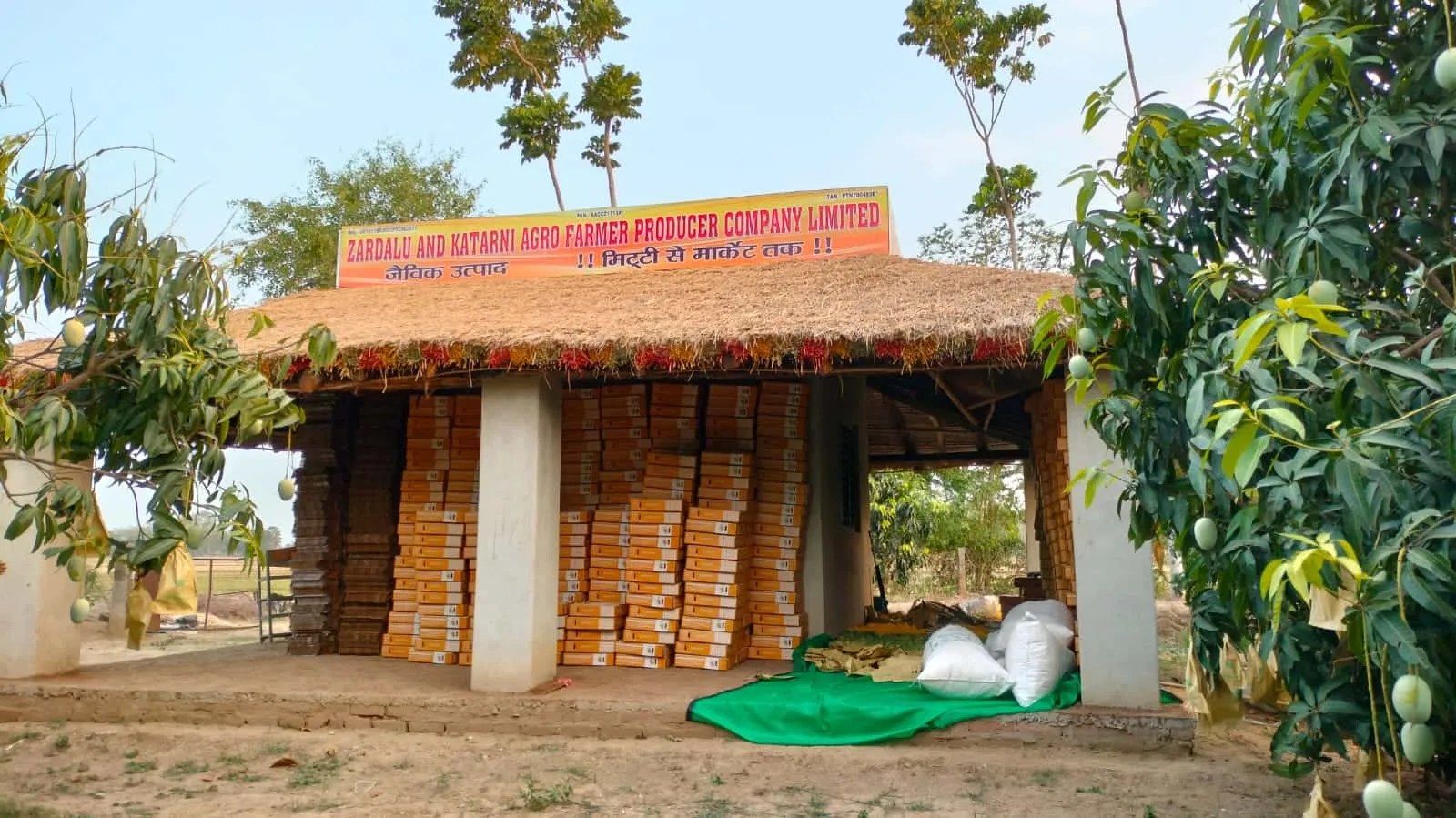 The FPO exported 4 Metric Tonnes (MT) of Jardalu mangoes to Dubai within a month of formation.<br />
