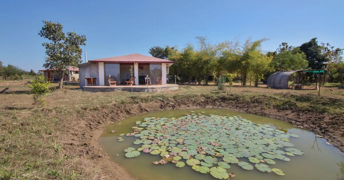 The orchard outside the property boasts of 700 trees of a wide variety of species