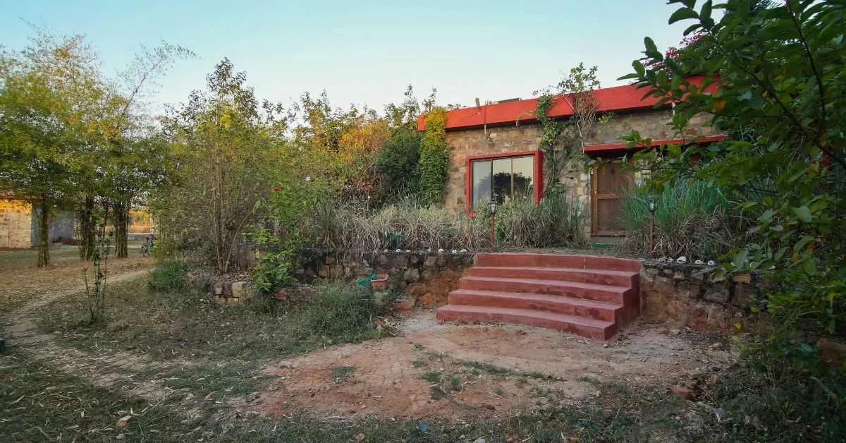 At The Spotted Owlet Farmstay guests can see animals like hare, mongoose, tigers in close proximity
