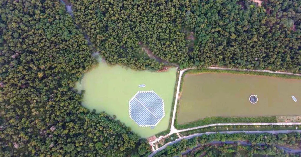 Floating solar panels hold key advantages 