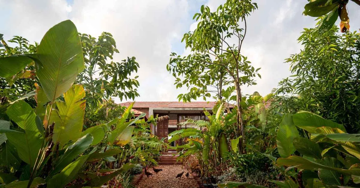 The land was once barren and has been transformed into a thriving ecosystem with trees