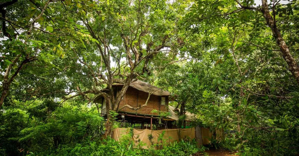 At the eco-village all the furniture is made using upcycled materials