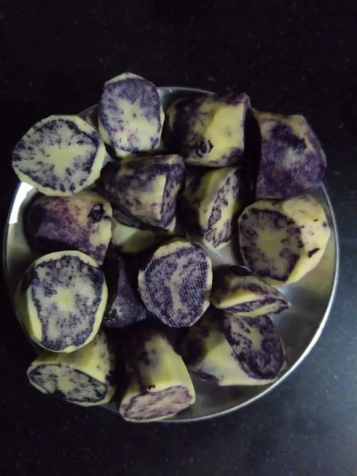 How the black potatoes look like on the inside after being cut.