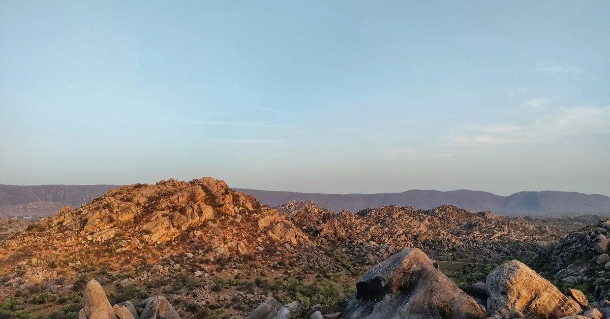 Luv has transformed the 35,000 sq m land from a barren one to a thriving forest