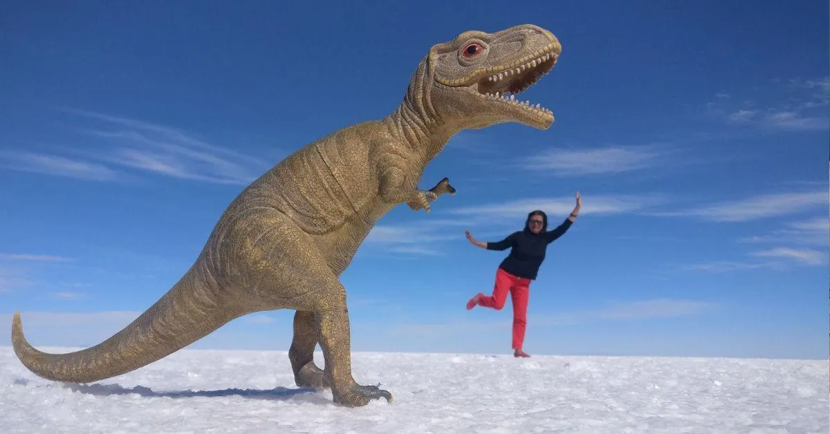 The snow rooms in Abisko were Neeru's favourite spots to watch the Northern Lights
