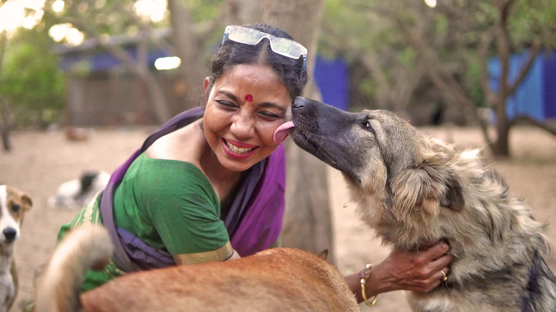 Sarah develops an intense love for these dogs at this shelter and home