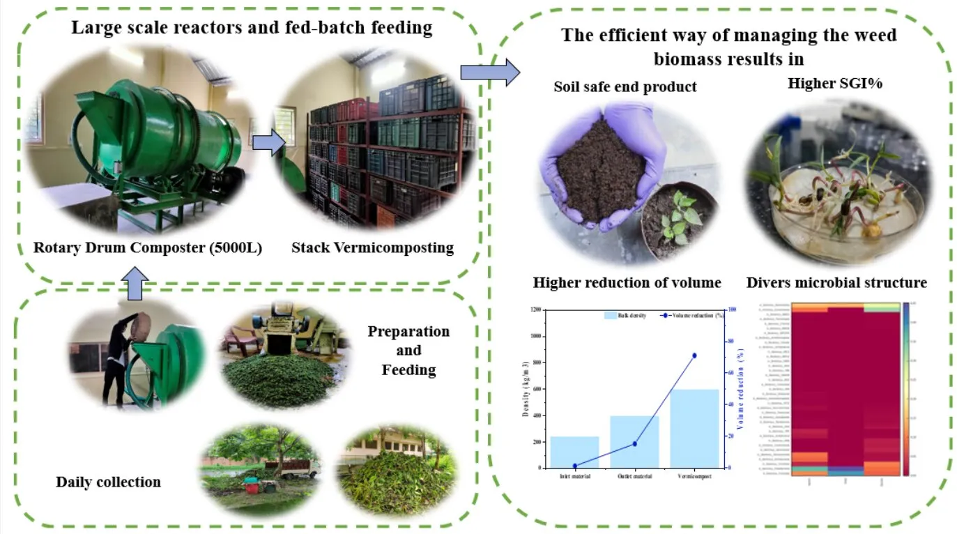 Vermicompost making 