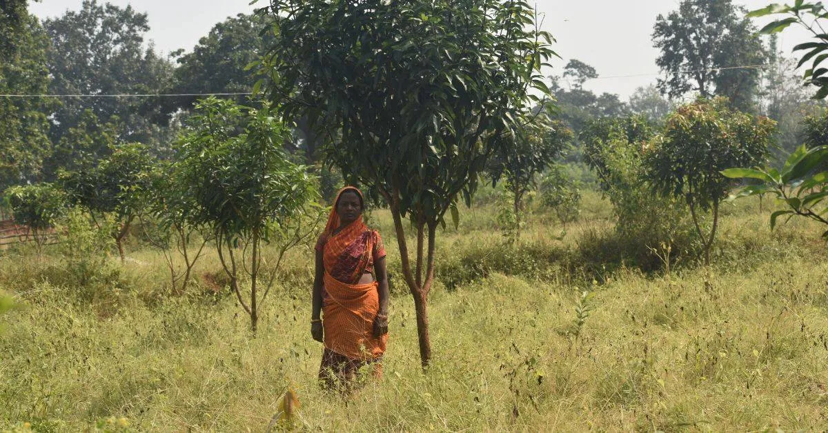 Rukmani was thrilled to farm on her unused farmland.