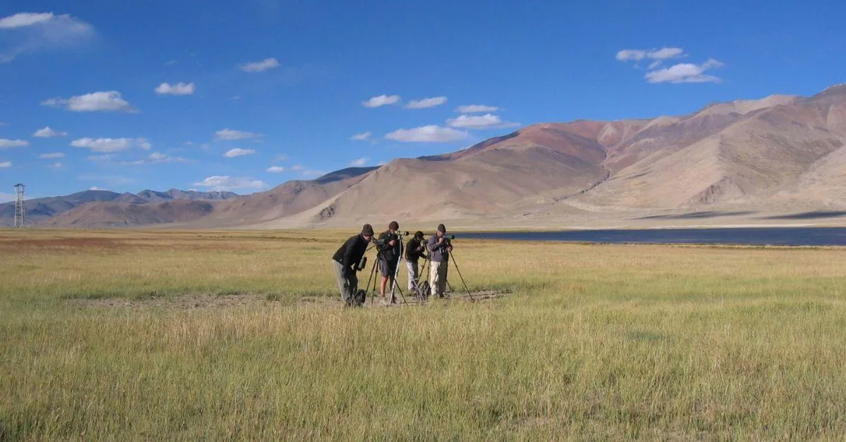 The Snow Leopard Conservancy India Trust is involved in the protection and conservation of snow leopards through tourism, research, photography and more
