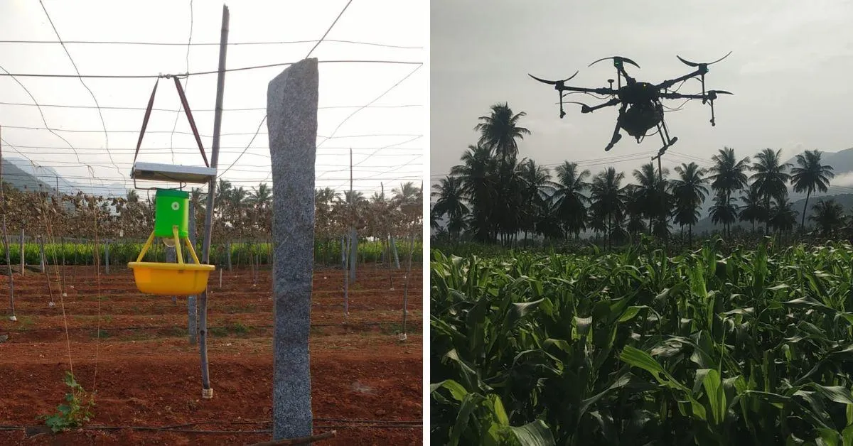Saravanan uses innovative methods of farming