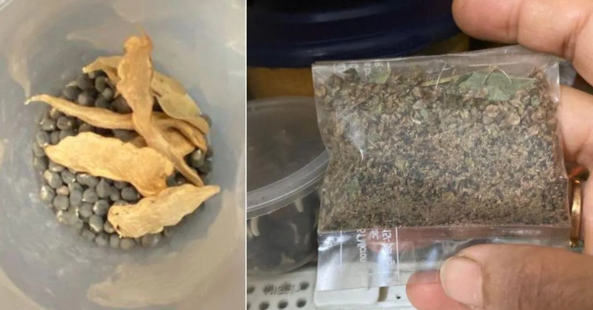 After scooping out seeds, keep them in a clean and airtight plastic or glass container.