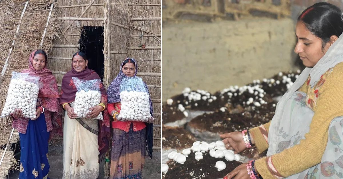Prabhat says in mushroom farming, there is a one-time expense to procure the bags and get recurring income daily. 