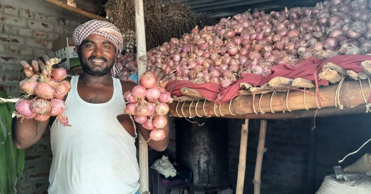 Farmers opted for onion cultivation as it is a nonperishable crop and its price increases by four times if you have good storage facilities. 