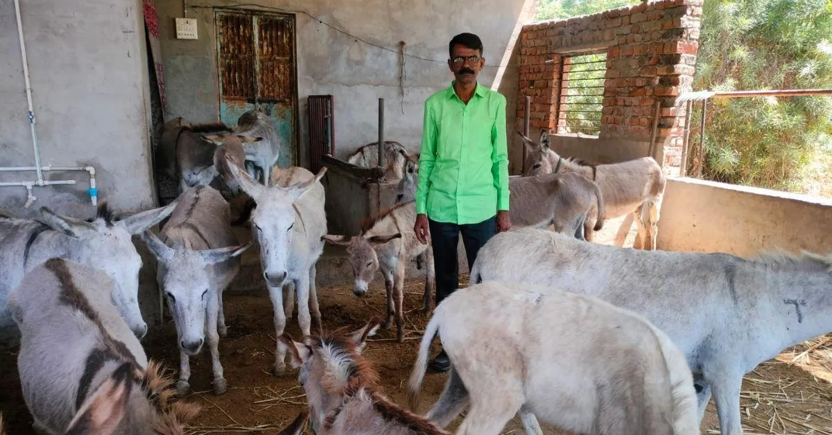 Following his father's advice, Dhiren quit his fantasy of landing a government job to become a farmer. 