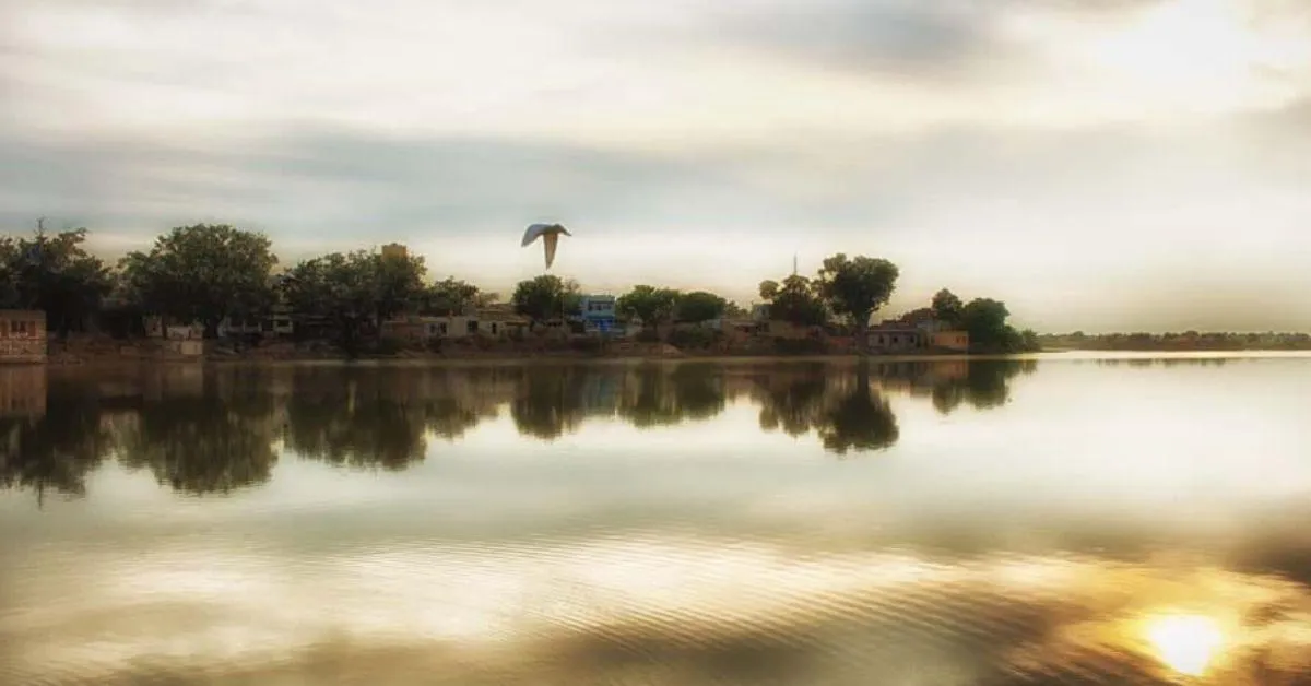 Rajawat has transformed the reservoir into a thriving water body that provides for the village's water needs,
