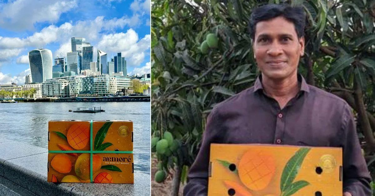 The farmers were able to earn up to Rs 1,200 per dozen for their produce.